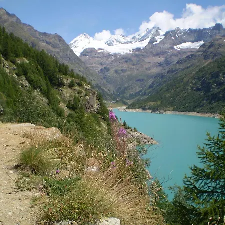 דירה Galanthus *