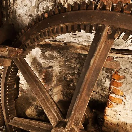 Апартаменты Galanthus *