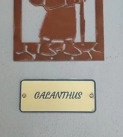 Apartment Galanthus *